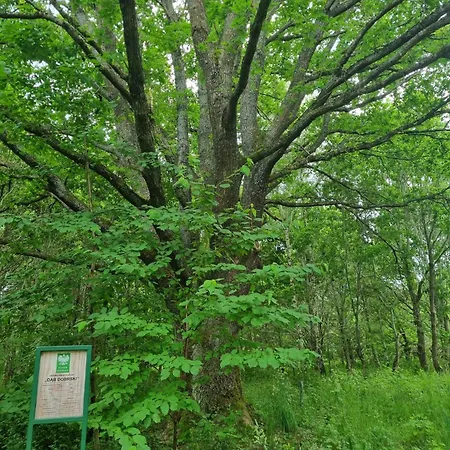 Villa W Malym Sadzie *