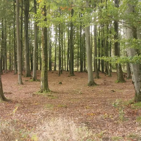 W Malym Sadzie 빌라 *