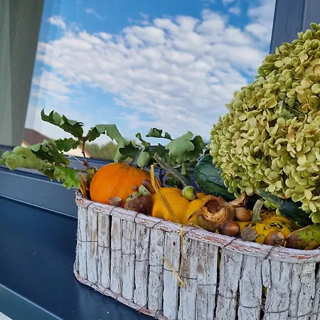 W Malym Sadzie Villa *