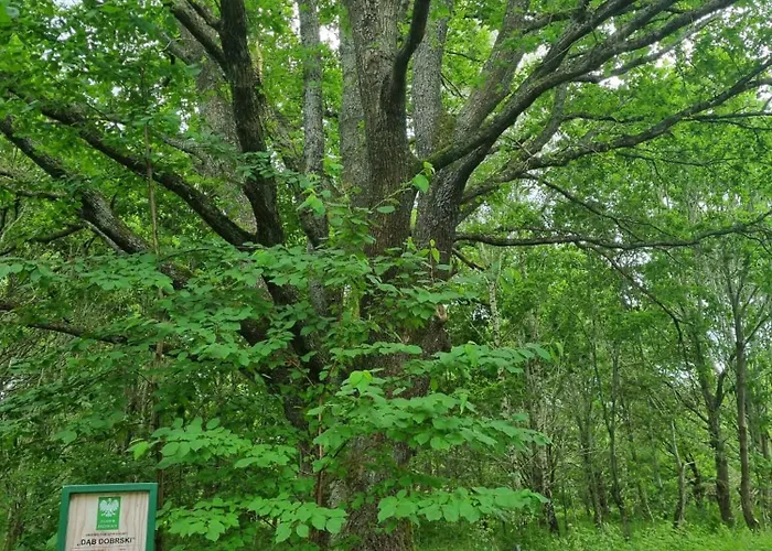 Villa W Malym Sadzie *