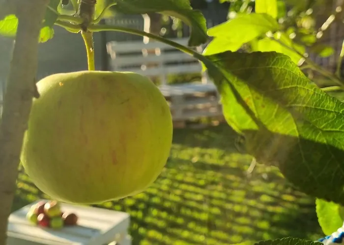 Villa W Malym Sadzie Dobra (Slupsk)