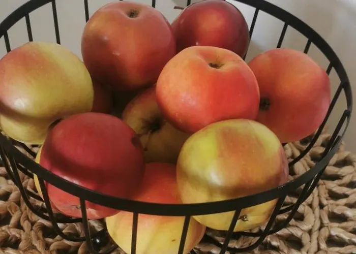 W Malym Sadzie Dobra (Slupsk)