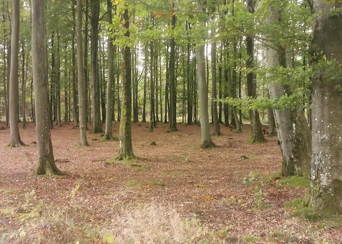 W Małym Sadzie Willa *