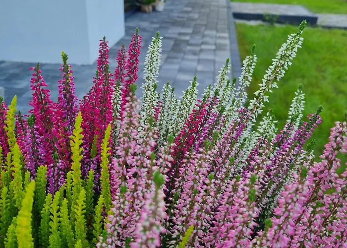 W Malym Sadzie Villa *